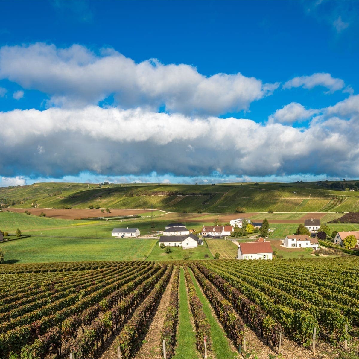 Sancerre