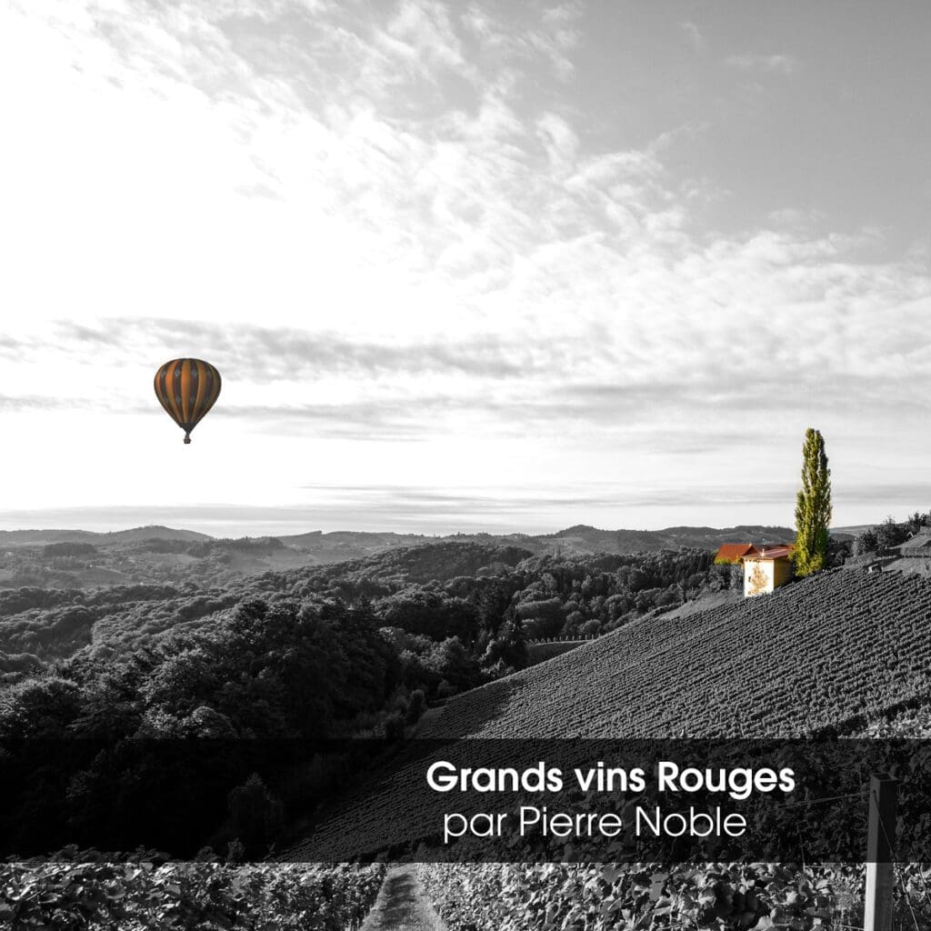 Soirée à Thème