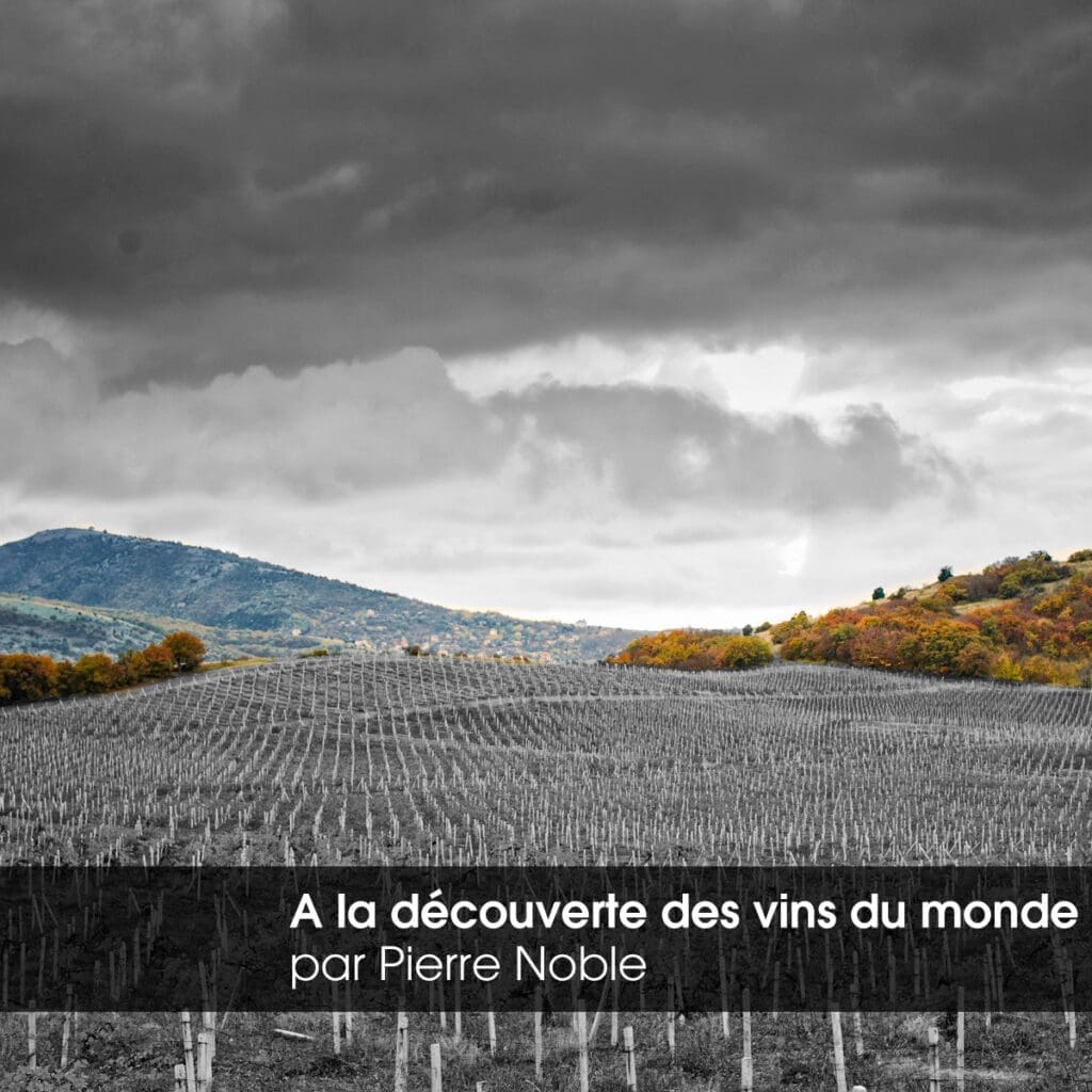 Soirée à Thème