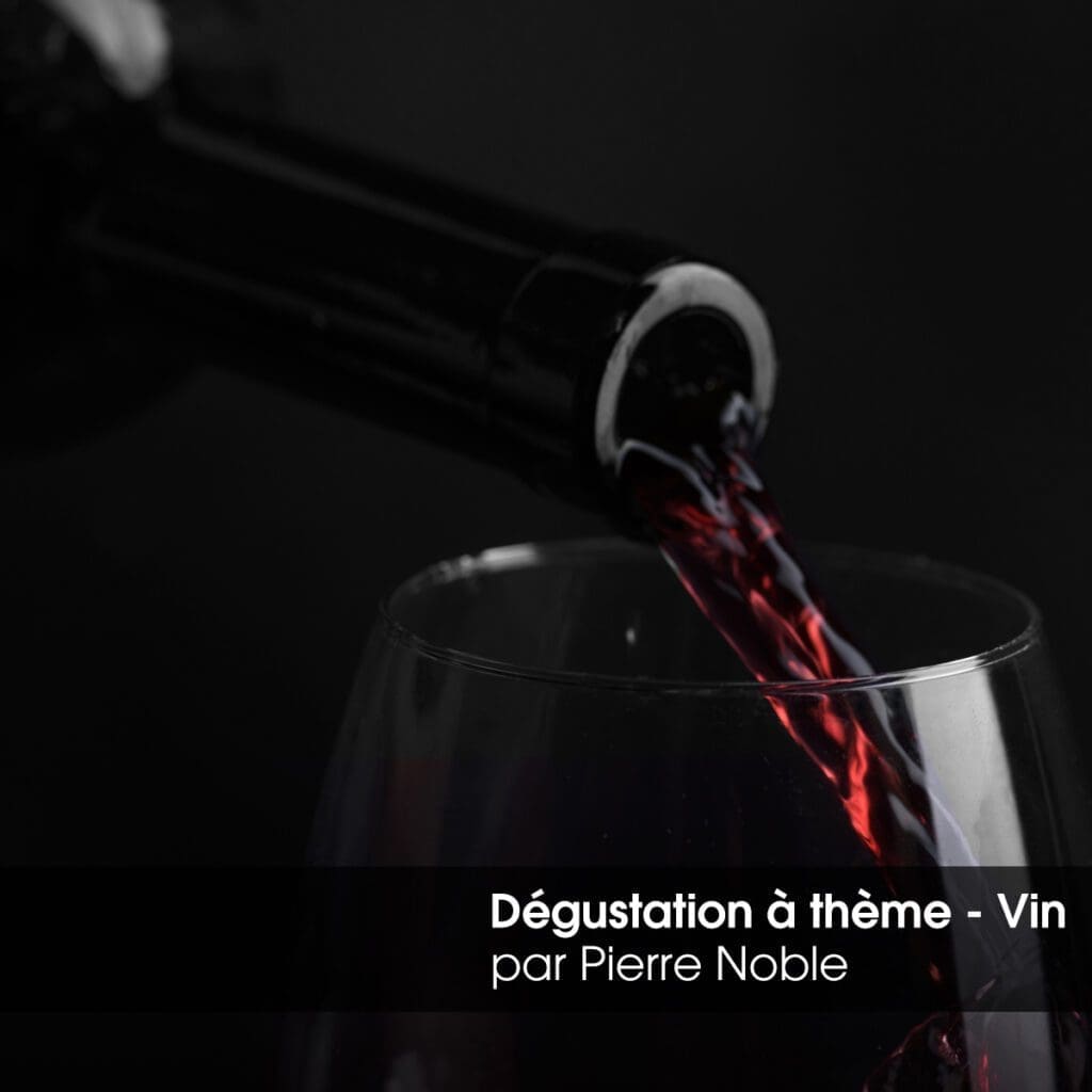 Dégustation à thèmes - vins