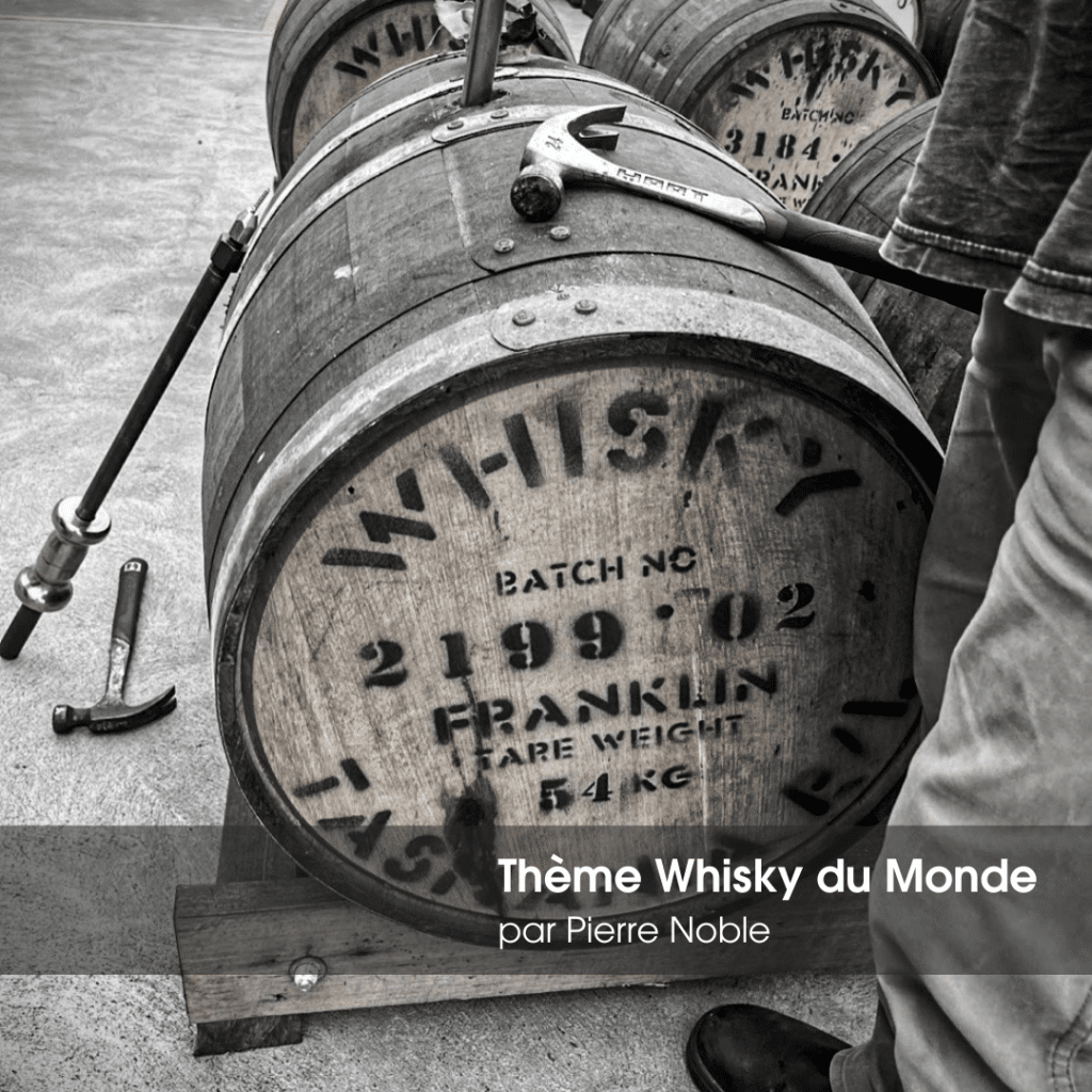 Soirée à Thème
