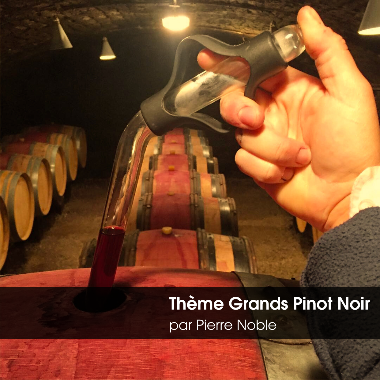 Dégustation à thème