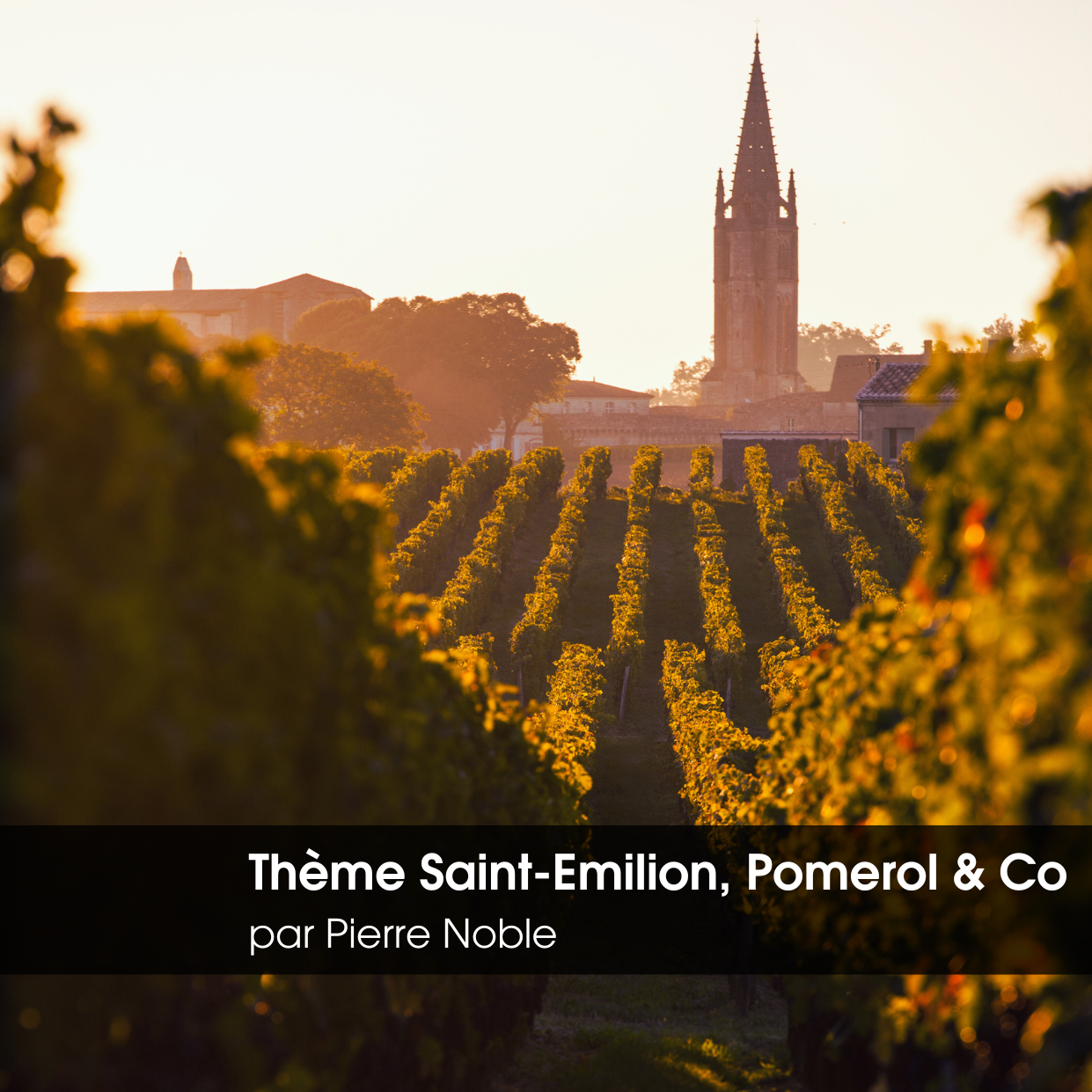 Soirée à Thème