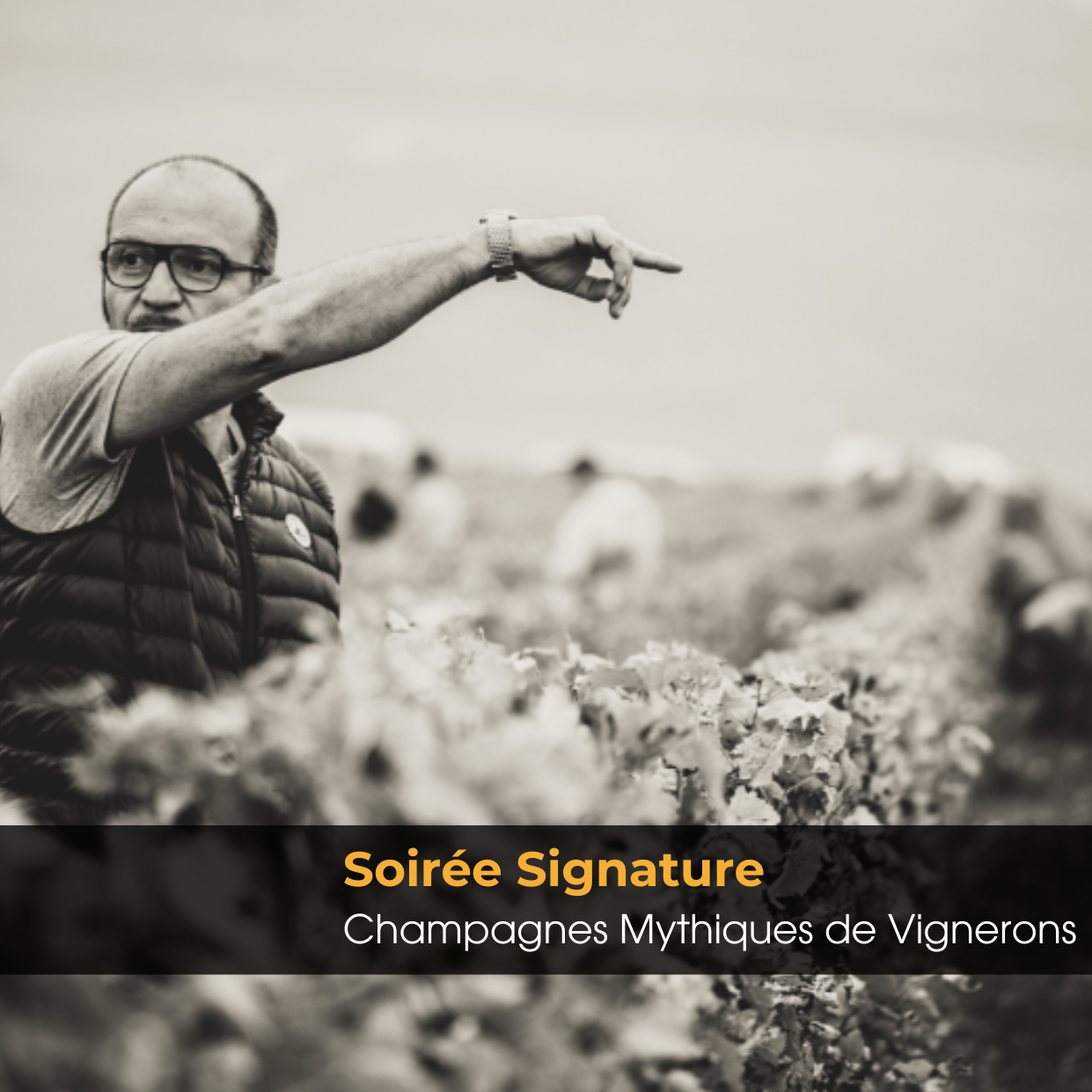 Soirée Signature