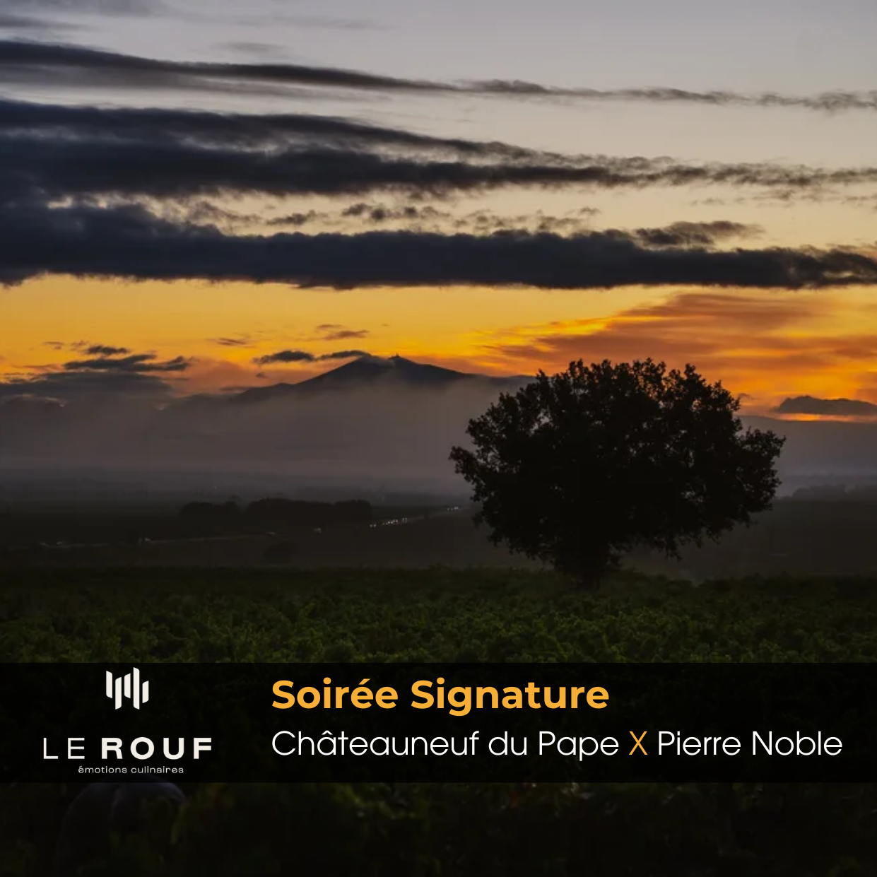Soirée Signature