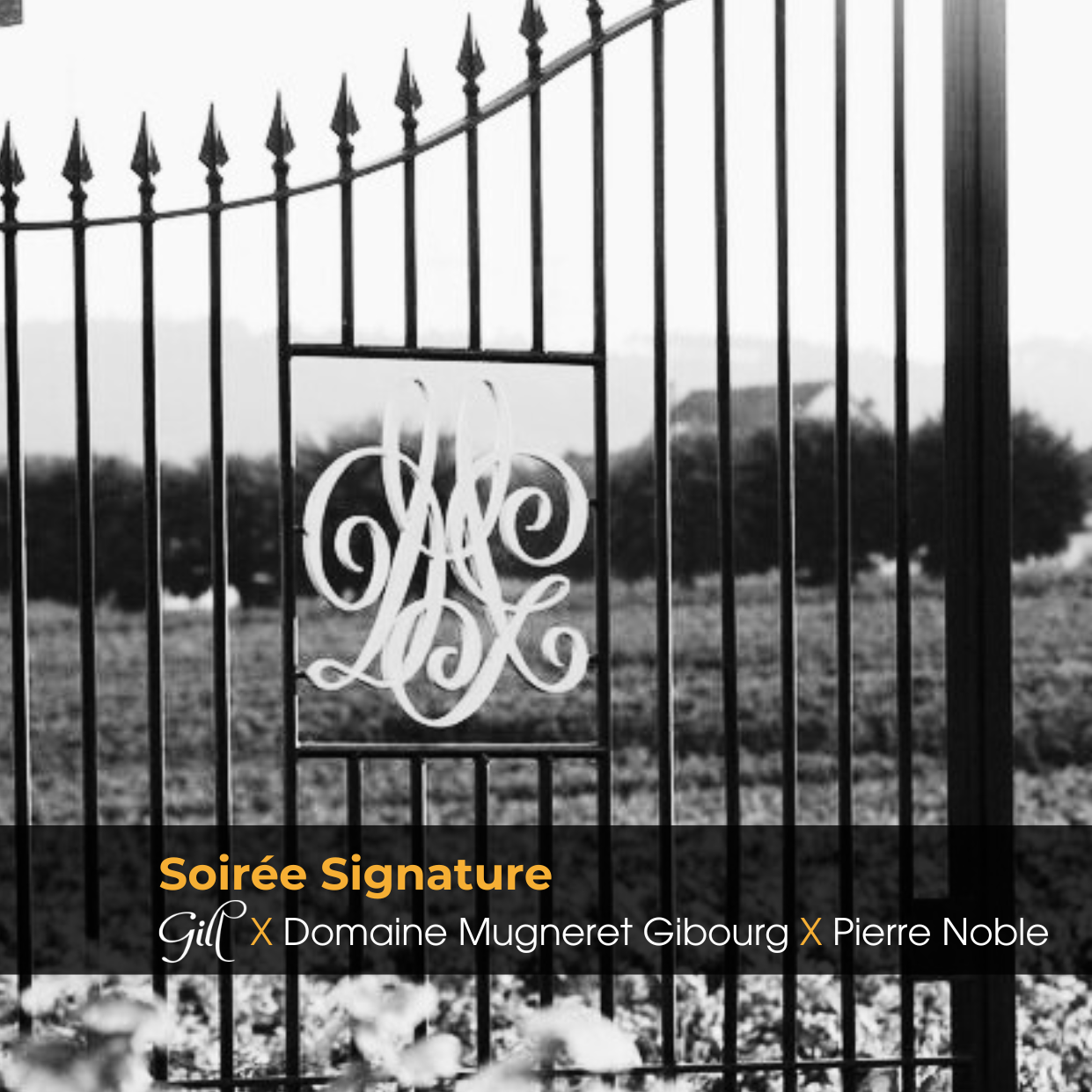 Soirée Signature