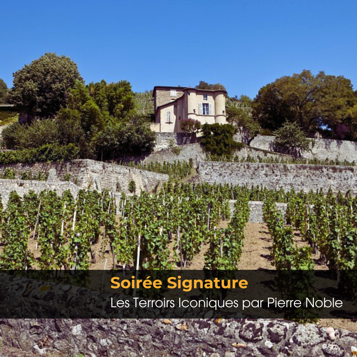 Soirée Signature