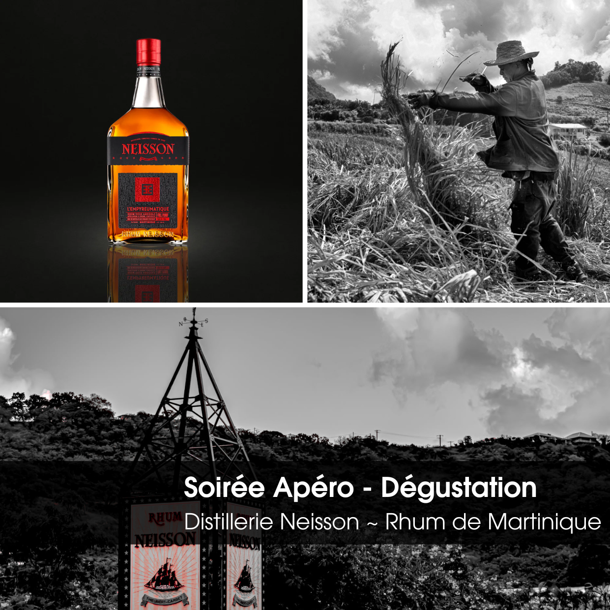 Soirée Apéro - Dégustation